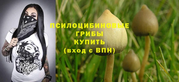 бошки Абдулино